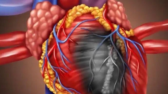  深藏的警示：被忽视的生命倒计时与守护秘籍 健康养生