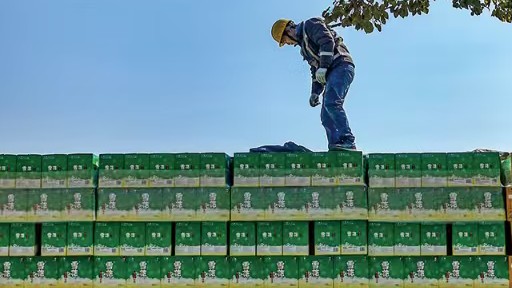  万级产量的市场震荡：啤酒巨头通过高端化与场景重构实现业绩突围 新闻 万级产量的市场震荡：啤酒巨头通过高端化与场景重构实现业绩突围 新闻