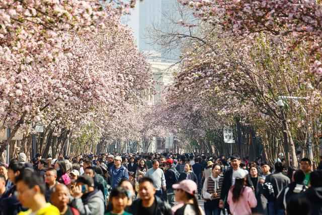  清明踏青却喷嚏不断？这位医生的提醒太及时了 健康养生