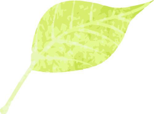  清明踏青却喷嚏不断？这位医生的提醒太及时了 健康养生