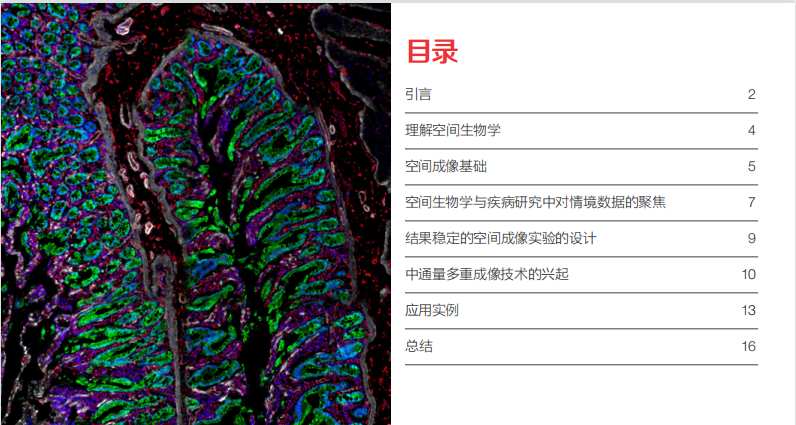  【技术深耕】肿瘤免疫实验全流程避坑指南：从样本处理到成像的实战方法论 IT技术