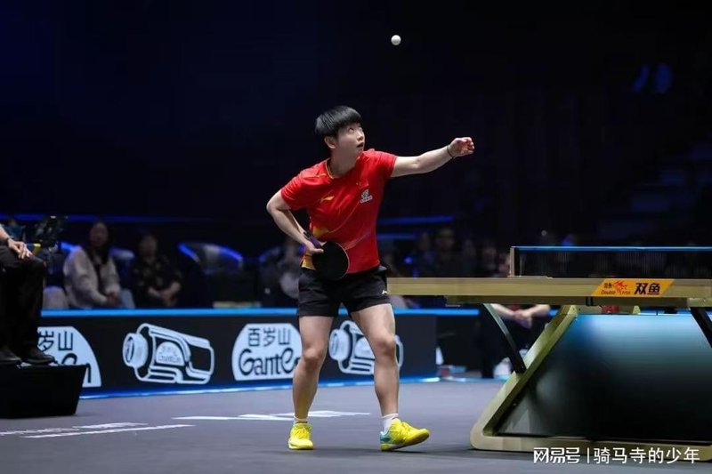  追梦路上的泪水与坚持：两个女孩，一座大满贯的距离 情感心理