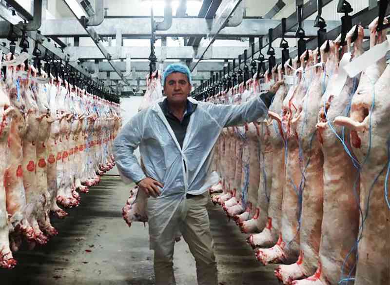  从认知鸿沟到味觉征服：动物头料理背后的技术解码与文化算法 新闻 从认知鸿沟到味觉征服：动物头料理背后的技术解码与文化算法 新闻