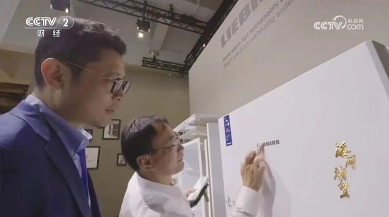  从流量焦虑到价值沉淀：2026年品牌营销的底层逻辑重构 企业服务