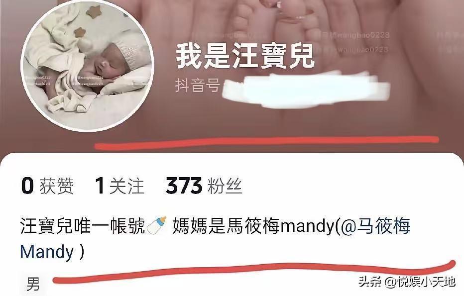  舆论风暴中的公众人物：从马筱梅事件透视网络舆情应对策略 新闻