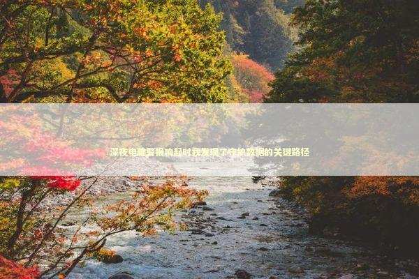 深夜电脑警报响起时我发现了守护数据的关键路径