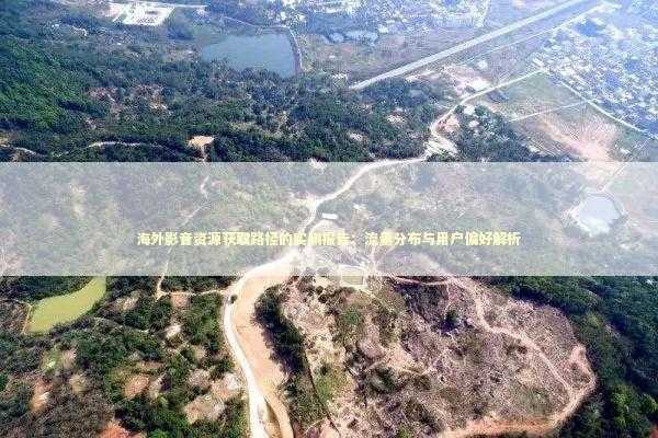 海外影音资源获取路径的实测报告：流量分布与用户偏好解析