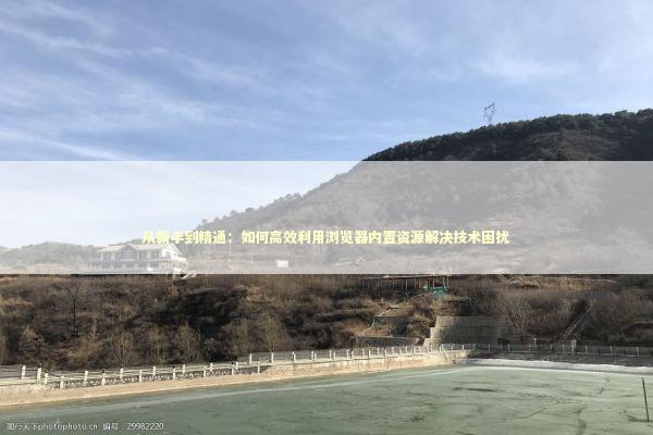 从新手到精通：如何高效利用浏览器内置资源解决技术困扰