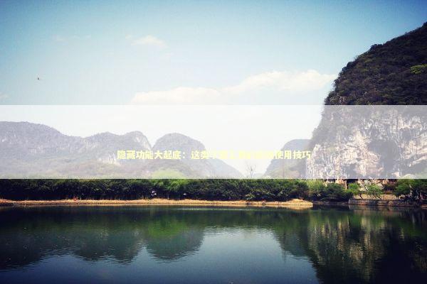 隐藏功能大起底：这类下载工具的高效使用技巧