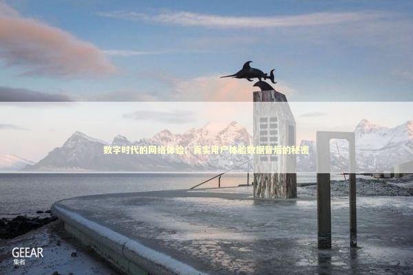 数字时代的网络体验：真实用户体验数据背后的秘密