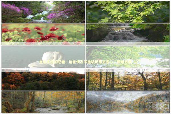 重装系统前必看：这些情况不重装反而更省心，新手必读