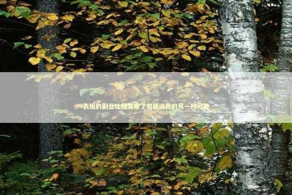 表姐的副业让我发现了包袋消费的另一种可能 时尚用品