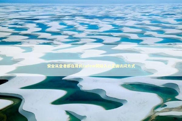 安全从业者都在用的safew网站入口正确访问方式