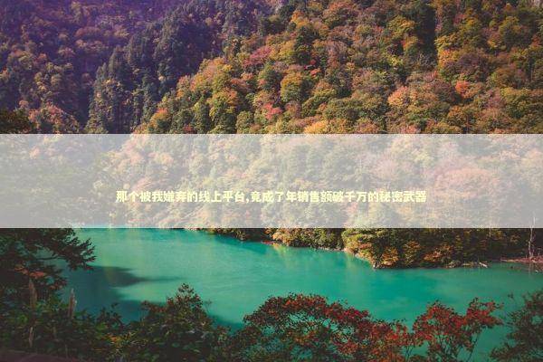 那个被我嫌弃的线上平台,竟成了年销售额破千万的秘密武器