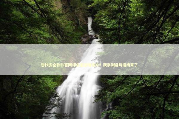 想找安全软件官网却总是进错地方？我亲测避坑指南来了