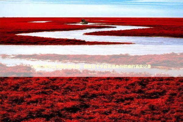 从档口搬运工到源头供应商：我用这个平台完成身份转换的真实记录 企业服务